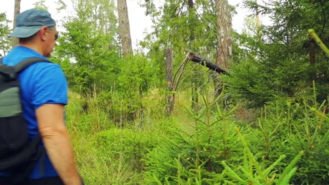 A tourist in glasses with a backpack behind him passes through thickets in the Stock Footage 94923456