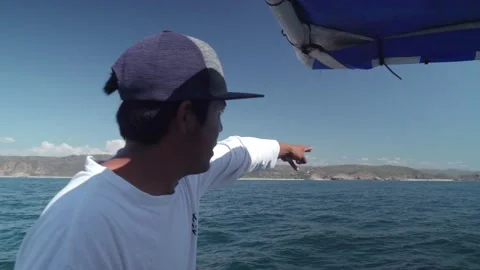 Tourist guide explain tourists about the whales Stock Footage 147306926