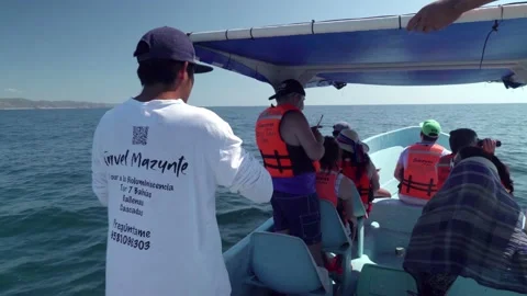 Tourist guide explain tourists about the whales Stock Footage 147307006