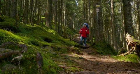 Tourist guy with big backpack hiking on an adventure trip in natural landscape Stock Footage 156965848