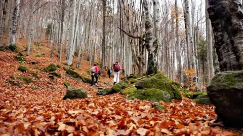 Tourist Hike Stock Footage 21781567
