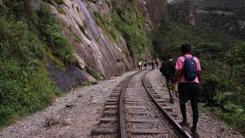 Tourist in the jungle Video stock 87037099