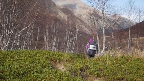 A tourist with a large backpack and a sleeping mat walks alone among the 動画素材 142955339