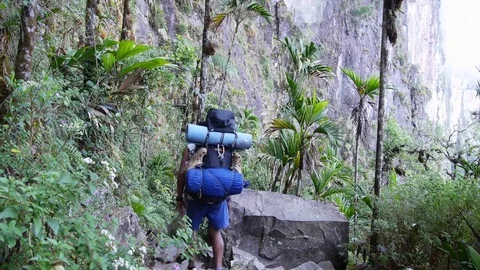 Tourist with a large blue backpack walks through the jungle. Stock Footage 80893596