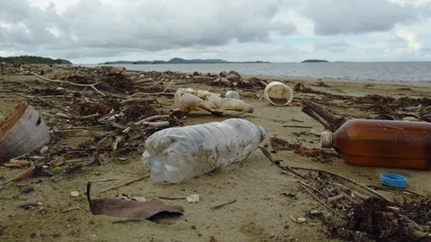 Tourist littering on the beach. Stock Footage 122431850