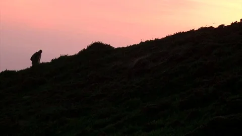 Tourist man with a backpack going up by mountain hill Stock Footage 73828259