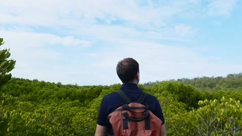 Tourist Man with Backpack Walking Among Green Treetops, Adventure Travel Concept Stock-Footage 148558196