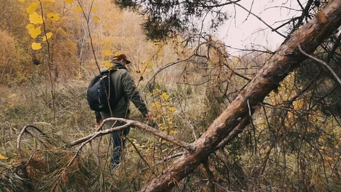 Tourist man walking to the camera in the forest. Soft focus, frame blocking. Stock Footage 97792197