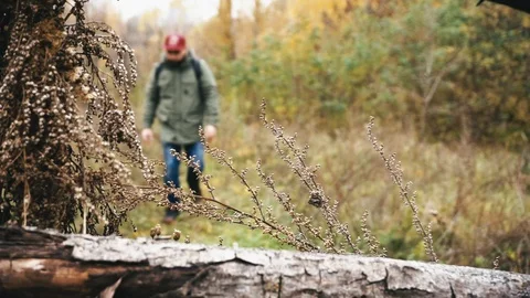 Tourist man walking to the camera in the forest. Soft focus, frame blocking. Stock Footage 97792220
