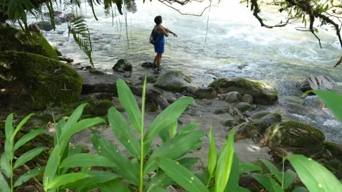 Tourist observing Amazon river in the rainforest 스톡 동영상 312149608