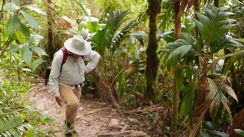 Tourist old man walks through the jungle in Venezuela. Vídeos de archivo 80843929