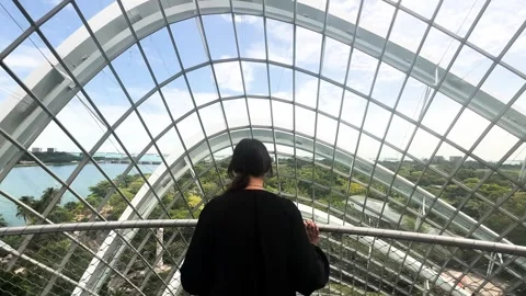 Tourist Over Cloud Forest Botanical Garden Platform In Singapore. Handheld Stock Footage 274244836