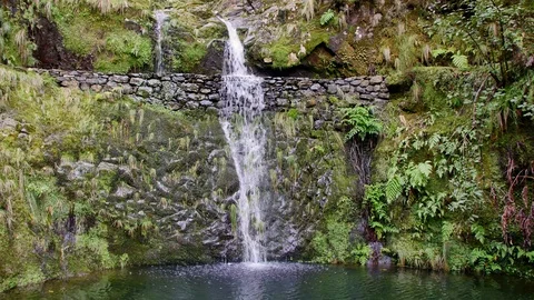 Tourist path on the Spring Island. Stock Footage 103097733