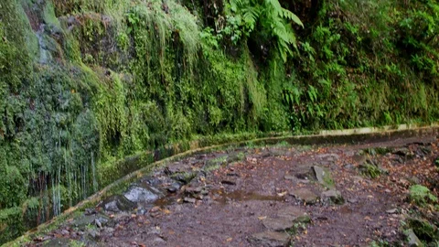 Tourist path on the Spring Island. Video stock 103099043