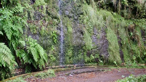 Tourist path on the Spring Island. 库存影片 103099261