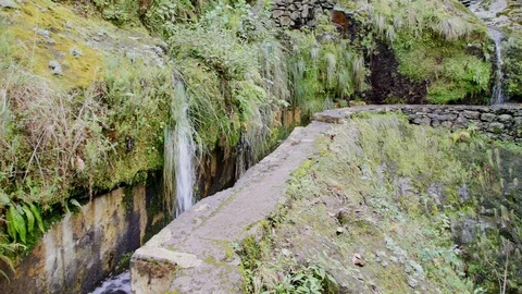 Tourist path on the Spring Island. Stock-Footage 103451742