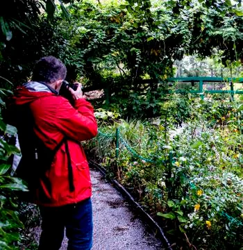 Tourist photographing the Duck Pond in Giverny Stock Photos