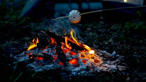 Tourist roast marshmallows over the campfire. Stock Footage 63442968
