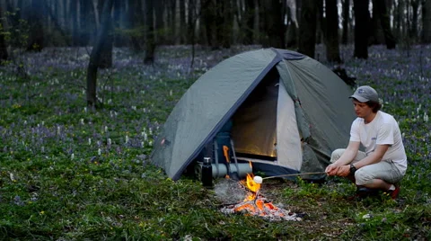 Tourist roast marshmallows over the campfire. Campground place, evening time Stock Footage 63444487