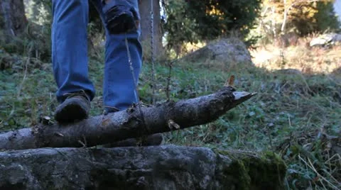 Tourist saws a tree Stock Footage 12149515
