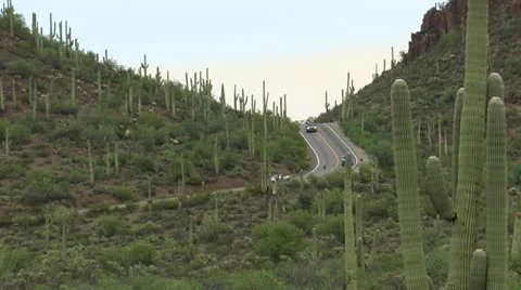 Tourist Scenic Drive Stock Footage
