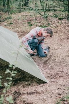 Tourist setting up a tent in spring forest. Foto stock