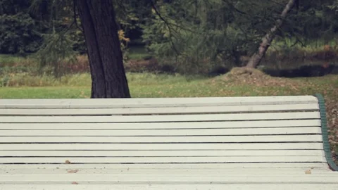 A tourist sits on a bench and looking at the map Stock-Footage 80492965