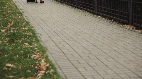 Tourist with suitcase and hat Stock-Footage 80492608