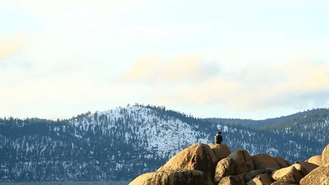 Tourist Takeing Selfie While Sitting on Boulders at Lake Tahoe Video stock 101458507