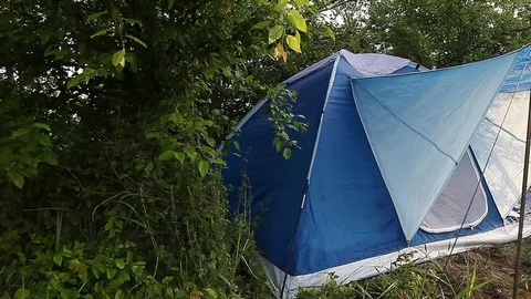 Tourist tent set up in forest Stock Footage 89663014