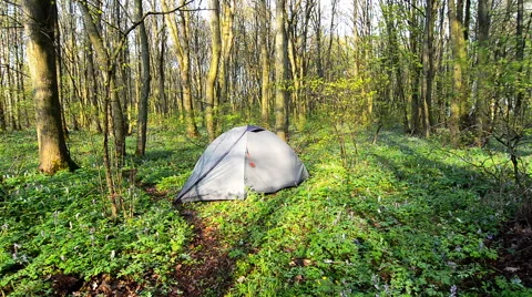 Tourist tent in spring forest. Stock Footage 63449197