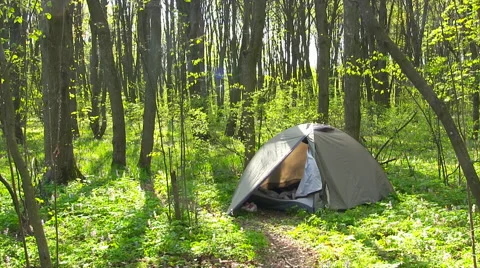 Tourist tent in spring forest. Stock Footage 63451314