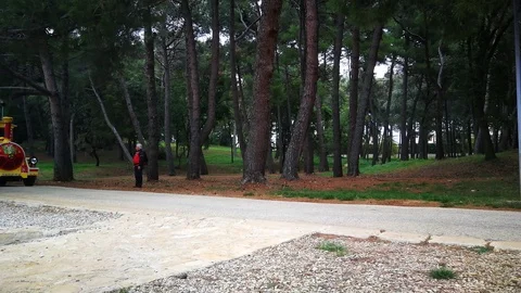 Tourist Train Forest in Background Stock Footage 99566932