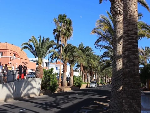 Tourist train pulls up at side of street Stock Footage 84789925