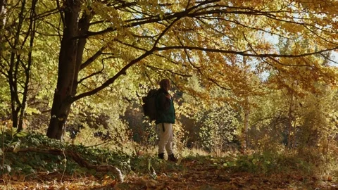 Tourist under a yellow tree Stock Footage 194370624