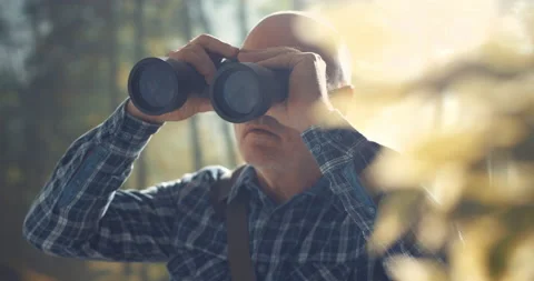 Tourist using binoculars and observing wildlife Stock Footage 151158245