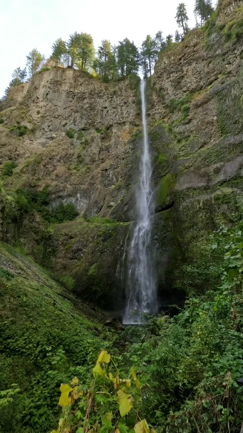 Tourist view at multnomah falls Stock Footage 297424681