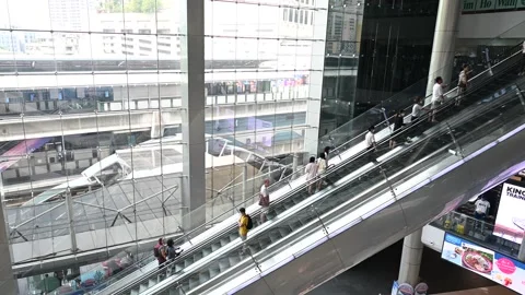 Tourist visit Video stock 240393119