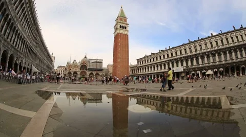 Tourist Visiting St. Mark's Square Video stock 53206343