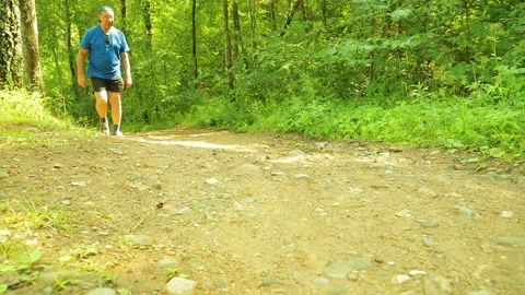 A tourist is walking along a forest path. Stock Footage 95084843