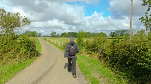 Tourist walking away with backpack along paved countryside road. Rural hiking Stock Footage 346605069