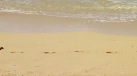Tourist walking on beach Stock Footage 54592590