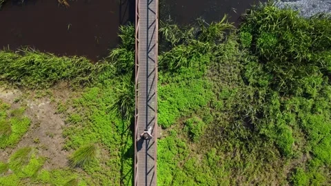 Tourist walking on bridge over river in nature reserve Stock Footage 285649005