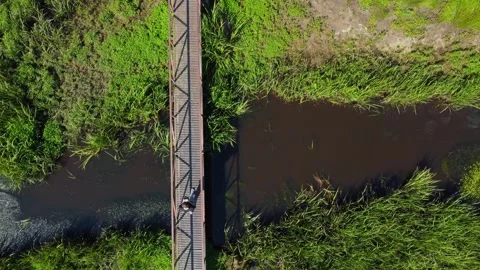 Tourist walking on bridge over river in nature reserve Stock Footage 285649264