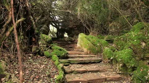 Tourist walking Stock Footage 12733928