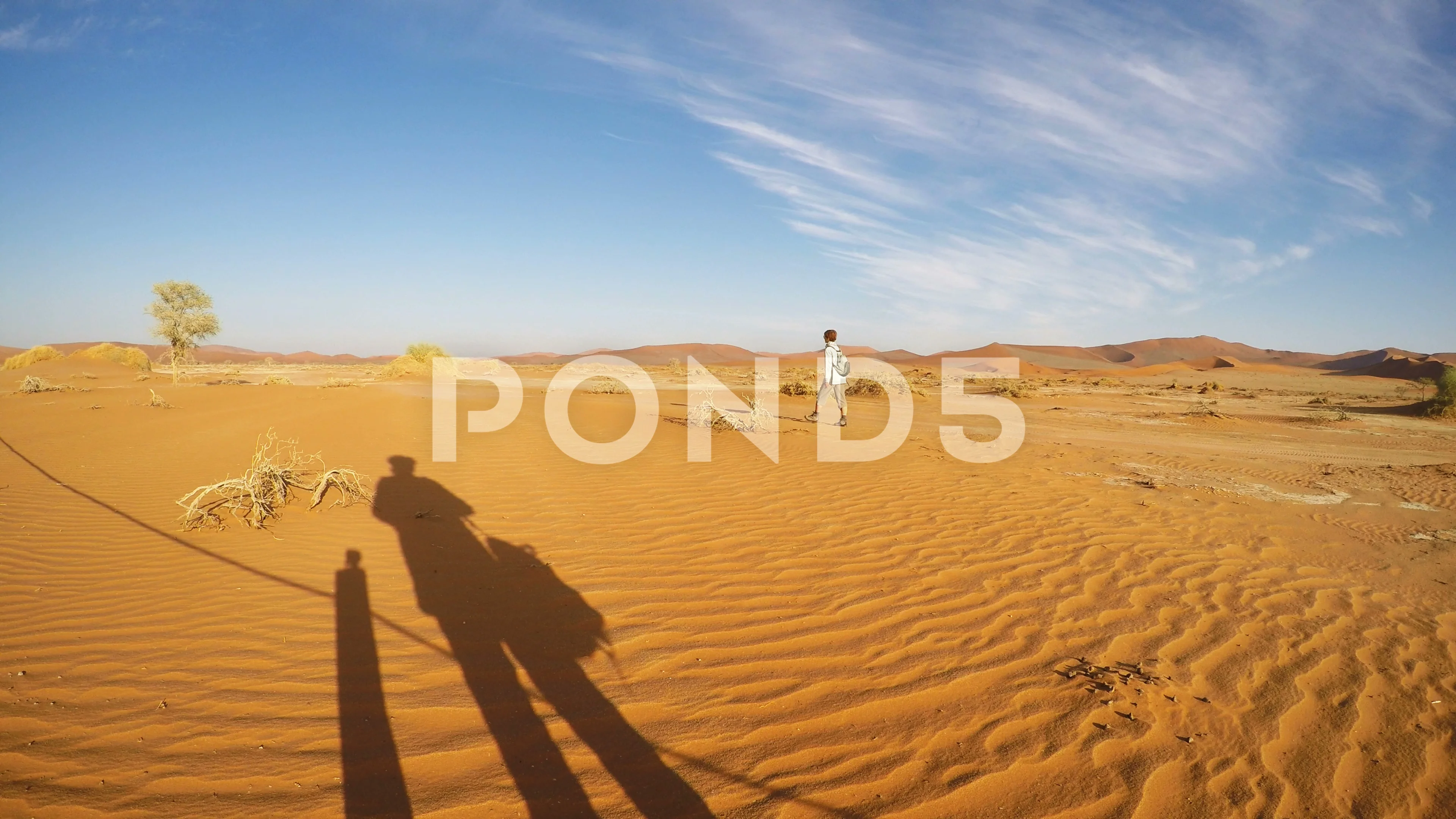 Crossing the Sand Dunes of Sossusvlei Park, Namibia, Africa загрузить