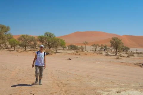 Tourist walking on the scenic dunes of Sossusvlei, Namib desert, Namib Nauk.. Stock Photos