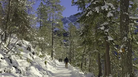 Tourist walking on snow-covered path around Eibsee Lake near Zugspitze, Garmisch Stock Footage 316638606