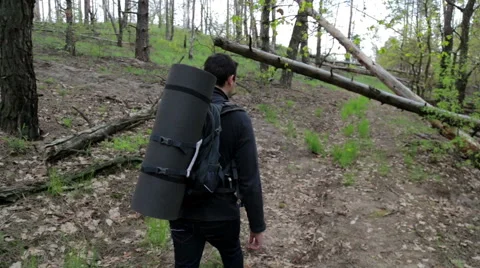 Tourist walking through forest Stock Footage 63979477