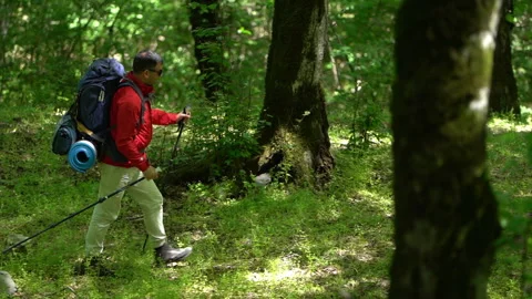 Tourist Walking Through Forest 動画素材 310831761